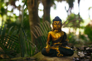 Statue de Bouddha en méditation dans la jungle